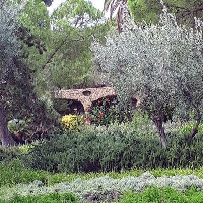 Barcelona – Park Güell – Landscape Visits